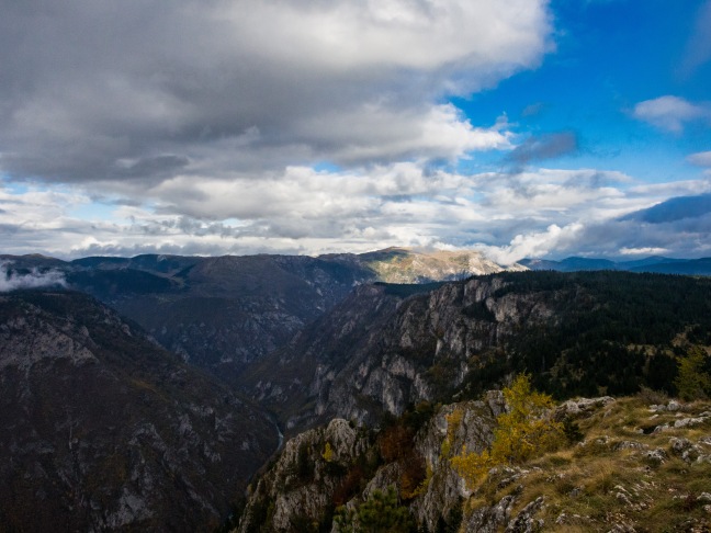Tara Canyon in Montenegro